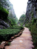 Wuyi Mountain Fujian